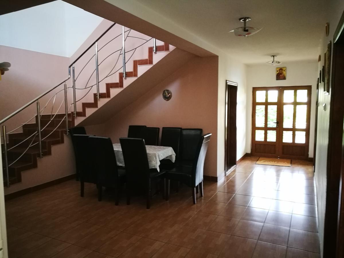 Pensiunea Ramona Cărpinişu Εξωτερικό φωτογραφία