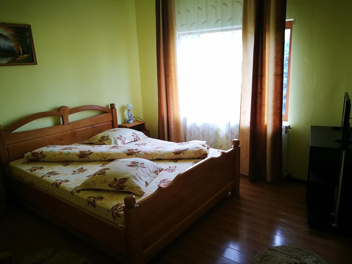 Pensiunea Ramona Cărpinişu Εξωτερικό φωτογραφία