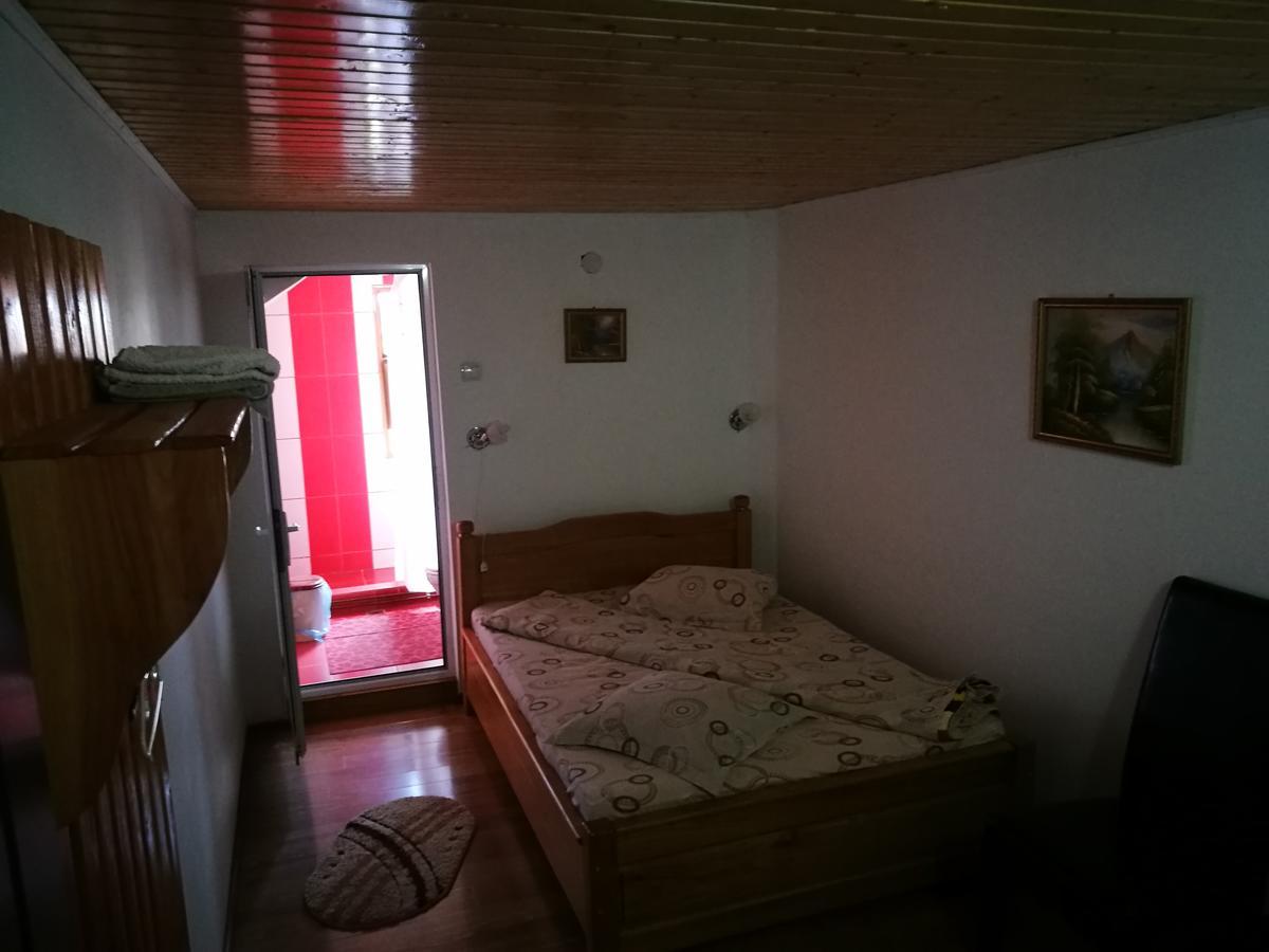 Pensiunea Ramona Cărpinişu Εξωτερικό φωτογραφία