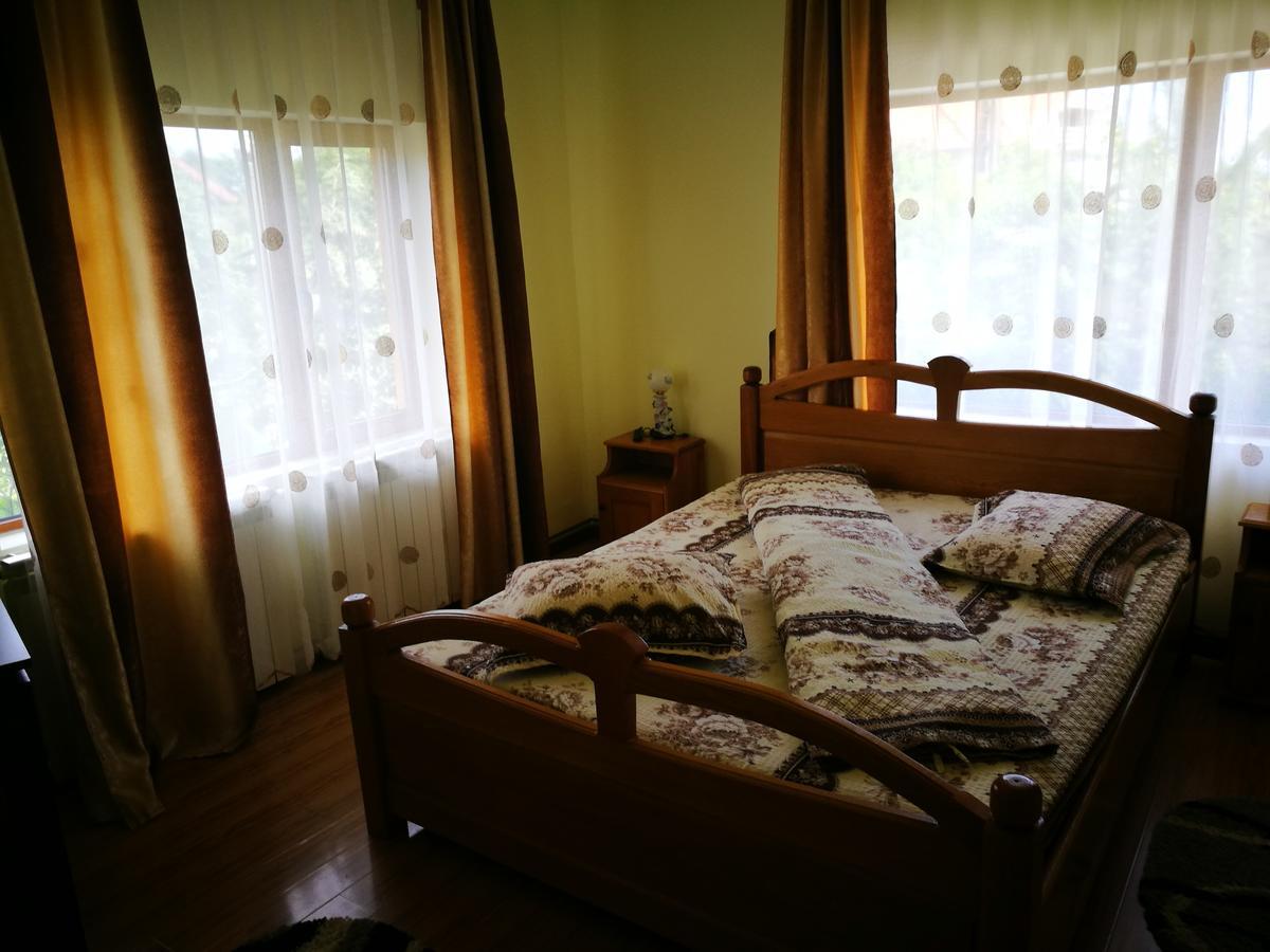 Pensiunea Ramona Cărpinişu Εξωτερικό φωτογραφία